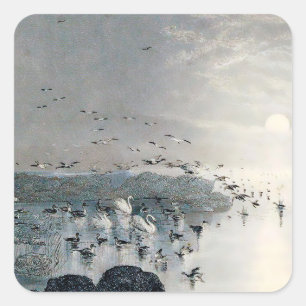 Sticker Carré Canards, colverts et cygnes sur le lac au coucher