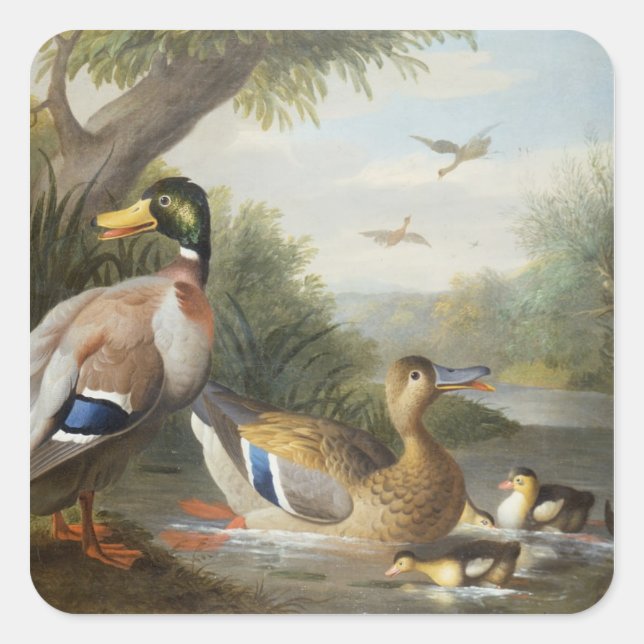 Sticker Carré Canards dans un paysage fluvial (Devant)