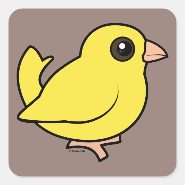 Sticker Carré Canari (Devant)