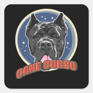 Sticker Carré Cane Corso Italiano Chien   Cane Corsos