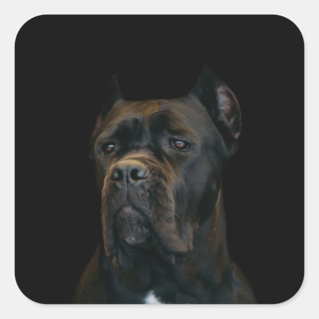 Sticker Carré Cane Corso - Mastiff italien (Devant)