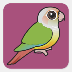 Sticker Carré Cannelle Birdorable Conure à joues vertes