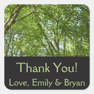 Sticker Carré Canopée du printemps Feuille Green Nature Scene