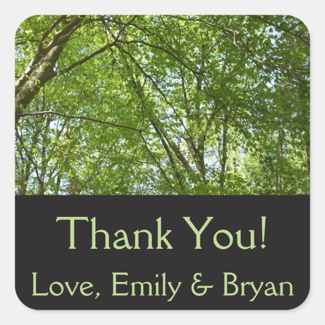 Sticker Carré Canopée du printemps Feuille Green Nature Scene (Devant)