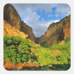 Sticker Carré Canyon de Kolob à Zion Canyon dans le parc nationa
