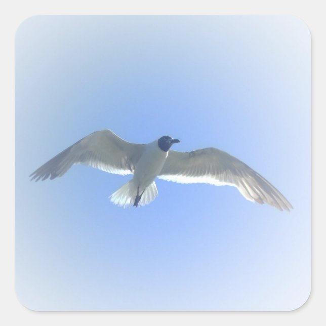 Sticker Carré Capsule en vol 2 (Devant)