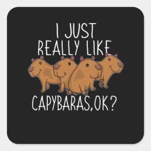 Sticker Carré Capybara Venin