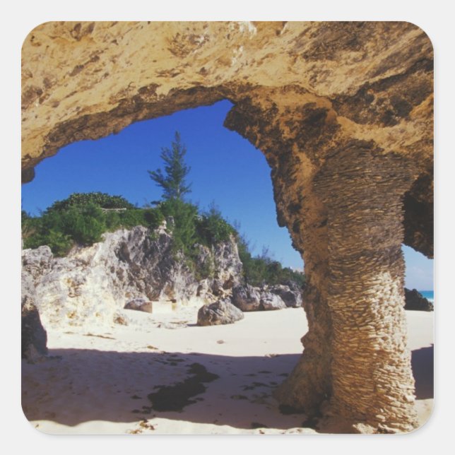 Sticker Carré Caraïbes, Bermudes, Tucker's Town. Nature (Devant)