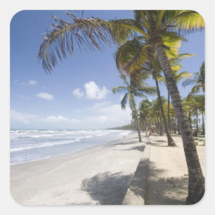 Sticker Carré Caraïbes - Trinité - Plage de Manzanilla sur