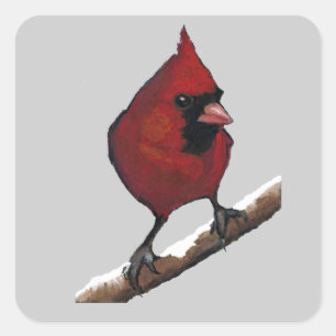 Sticker Carré Cardinal rouge : Oiseau : Illustration de pastel