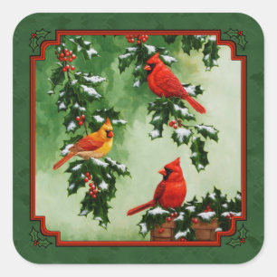 Sticker Carré Cardinaux rouges et houx vert