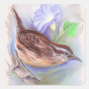 Sticker Carré Carolina Wren avec les fleurs de gloire du matin