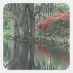 Sticker Carré Caroline du Sud, Charleston