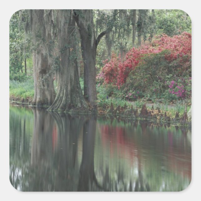 Sticker Carré Caroline du Sud, Charleston (Devant)