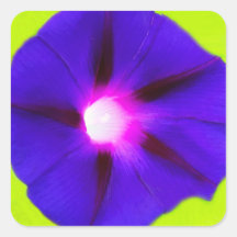 Carré floral