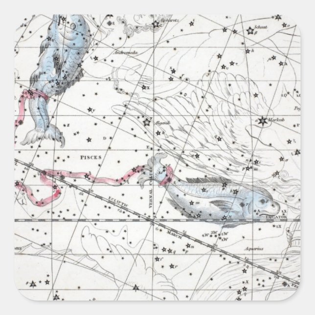 Sticker Carré Carte de la plaque de constellations XXII (Devant)