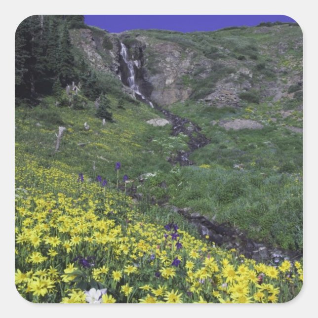 Sticker Carré Cascade et fleurs sauvages dans la prairie alpine, (Devant)