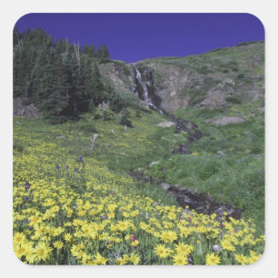 Sticker Carré Cascade et fleurs sauvages dans une prairie alpine