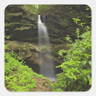 Sticker Carré Cascade tombant dans un sinkhole, Whiteoak Sink,