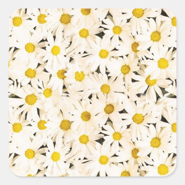 Sticker Carré Casseroles blanches personnalisées Blank tendance  (Devant)