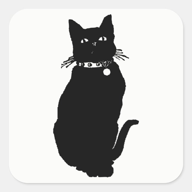Sticker Carré Cat (Devant)