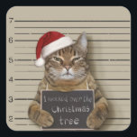 Sticker Carré Cat Christmas<br><div class="desc">kitten mugshot christhot,  santa gangster holiday,  merry claus decembre humor,  a xmas cool theft,  guilty x-mas jail,  cute crime saines, </div>
