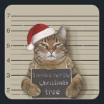 Sticker Carré Cat Christmas<br><div class="desc">kitten mugshot christhot,  santa gangster holiday,  merry claus decembre humor,  a xmas cool theft,  guilty x-mas jail,  cute crime saines, </div>