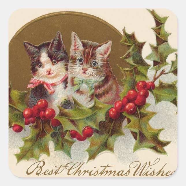 Sticker Carré Cat Kitten Holly Winterberry (Devant)