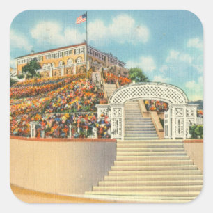 Sticker Carré Catalina