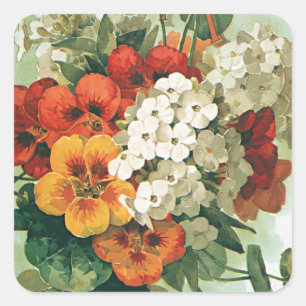 Sticker Carré Catalogue de semences vintage Eastman's Seed Cover