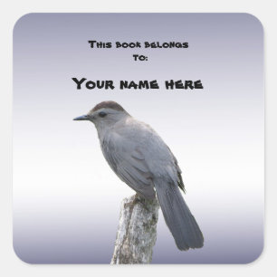 Sticker Carré Catbird Boplate