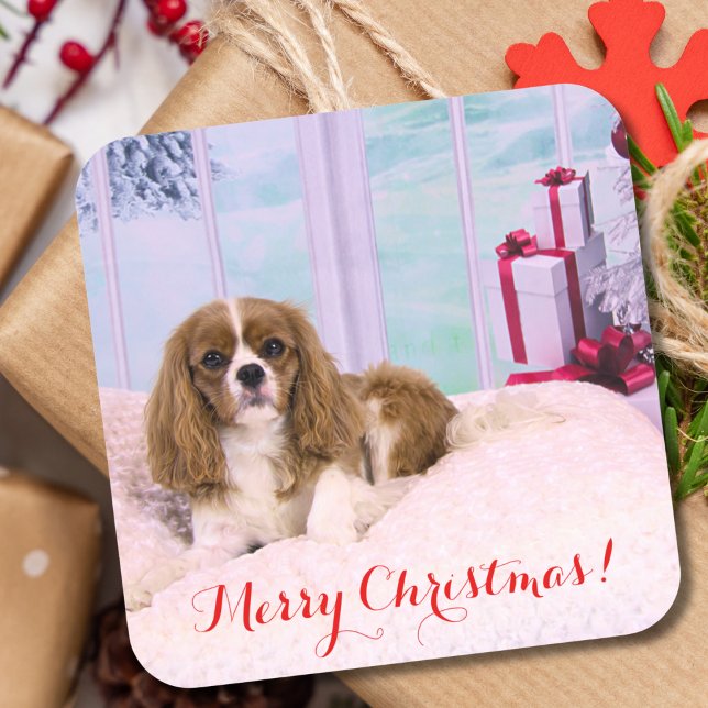 Sticker Carré Cavalier King Charles de Noël avec cadeaux (Créateur téléchargé)