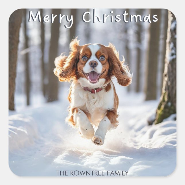 Sticker Carré Cavalier King Charles Spaniel Neige Joyeux Noël (Devant)