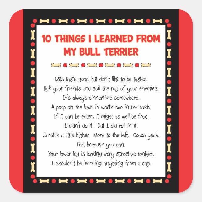 Sticker Carré Ce Que J'Ai Appris De Mon Bull Terrier (Devant)