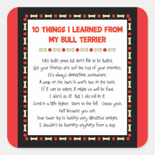 Sticker Carré Ce Que J'Ai Appris De Mon Bull Terrier
