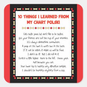 Sticker Carré Ce Que J'Ai Appris De Mon Graphique Polski