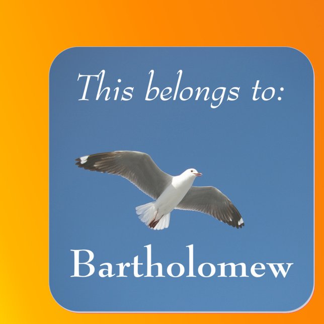 Sticker Carré Ceci appartient à Blue Sky Seagull Photo (Front with Background)