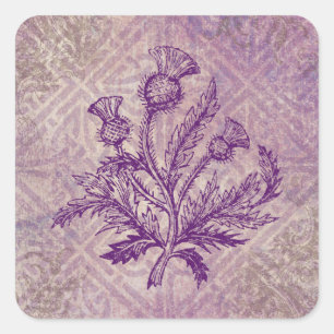 Sticker Carré Ceinture écossaise violet noeud celtique