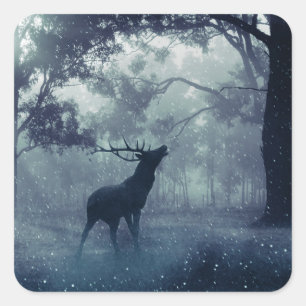 Sticker Carré Cerf avec Antlers dans une forêt ombragée