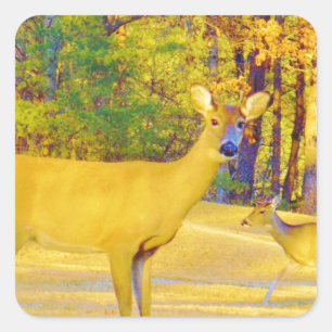 Sticker Carré Cerf de couleur moutarde avec bleu clair