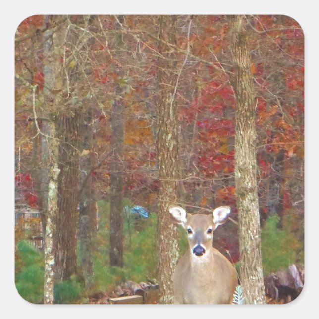 Sticker Carré Cerf de Noël (Devant)