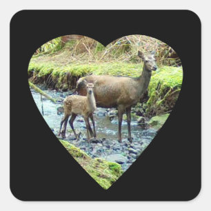 Sticker Carré Cerf Rouge Faisane et Bébé Famille de Faune de la