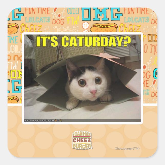 Sticker Carré C'est Caturday ? (Devant)