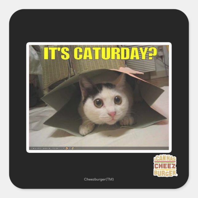 Sticker Carré C'est Caturday ? (Devant)