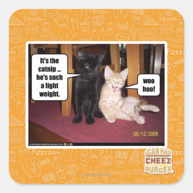Sticker Carré C'est le catnip (Devant)