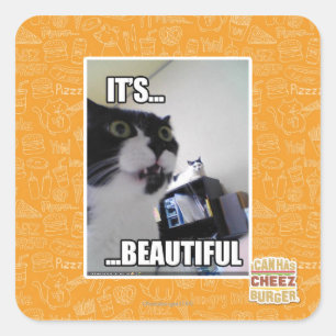 Sticker Carré C'est magnifique