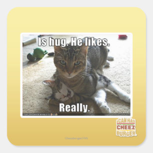 Sticker Carré C'est serré. Il aime.