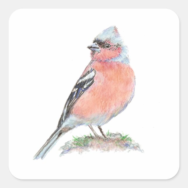 Sticker Carré Chaffinch mignon, Aquarelle Collection d'oiseaux (Devant)