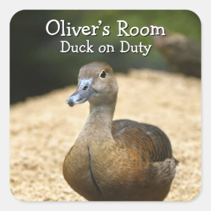 Sticker Carré Chambre d'enfant personnalisée Canard en service N