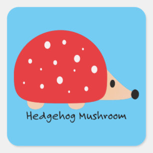 Sticker Carré Champignon de Hérisson mignon et drôle